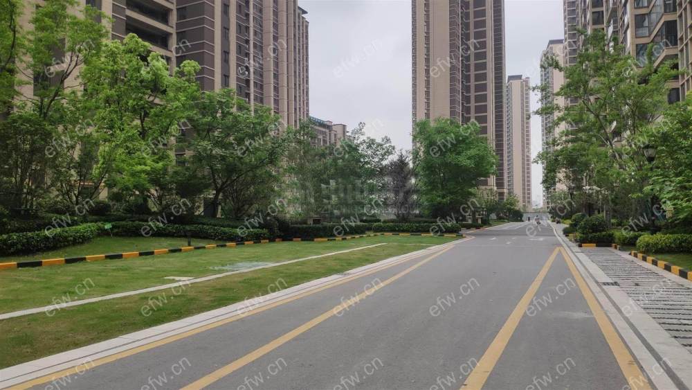 精装修洋房，看房方便