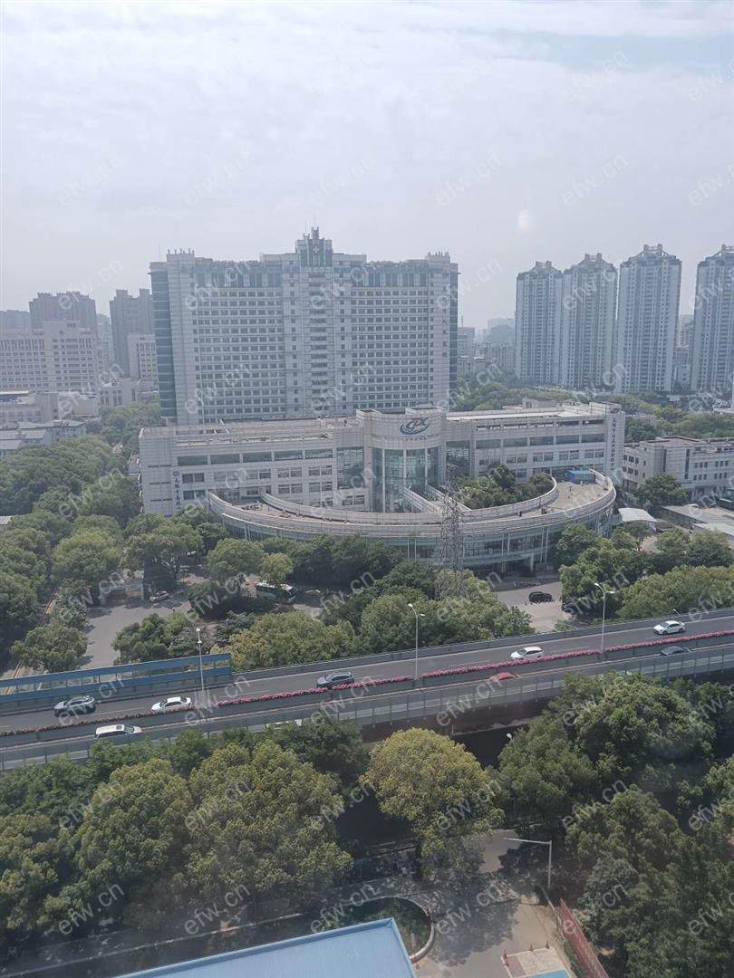 首出租，拒养宠物者