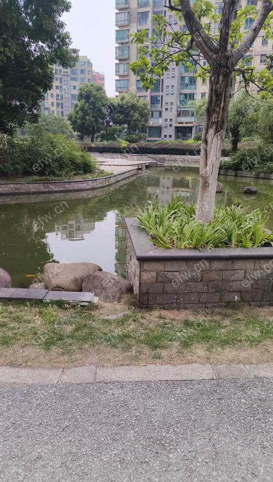 嘉禾现代花城159平出租，楼层好