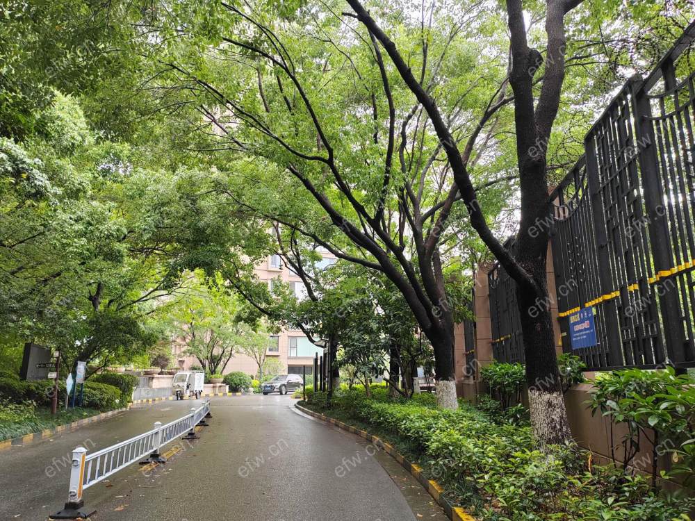 天鹅湖花园A区 3室2厅