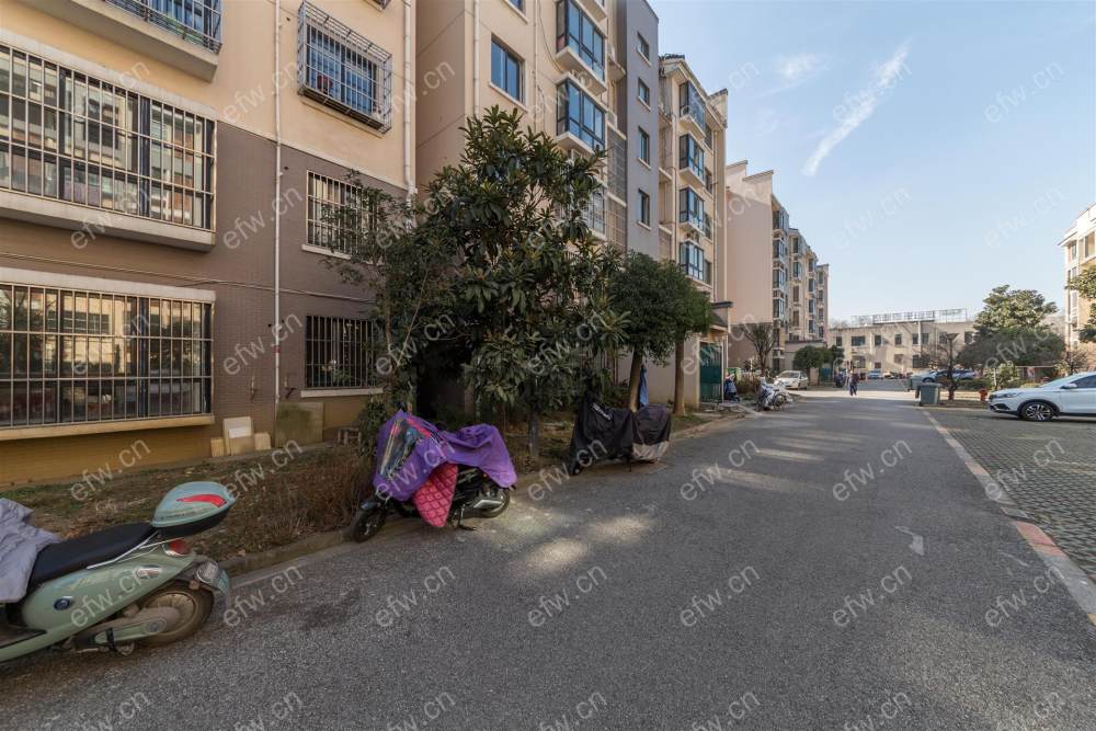 婚装全明东边户4房,惠麓苑 格局工整合理