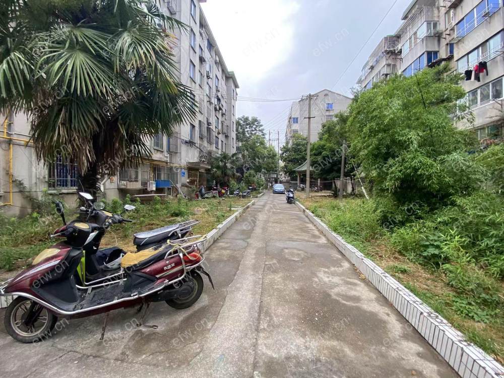 胜利小区自住三房