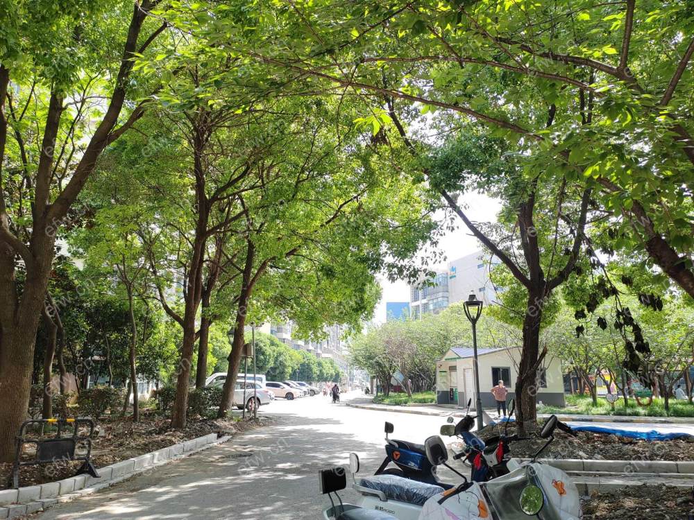 阳光城市花园B区....