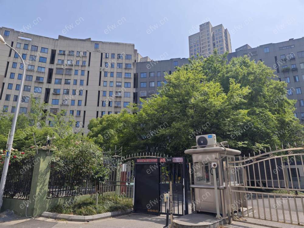 五爱鼎牌人家精装2室  随时看房 拎包入住