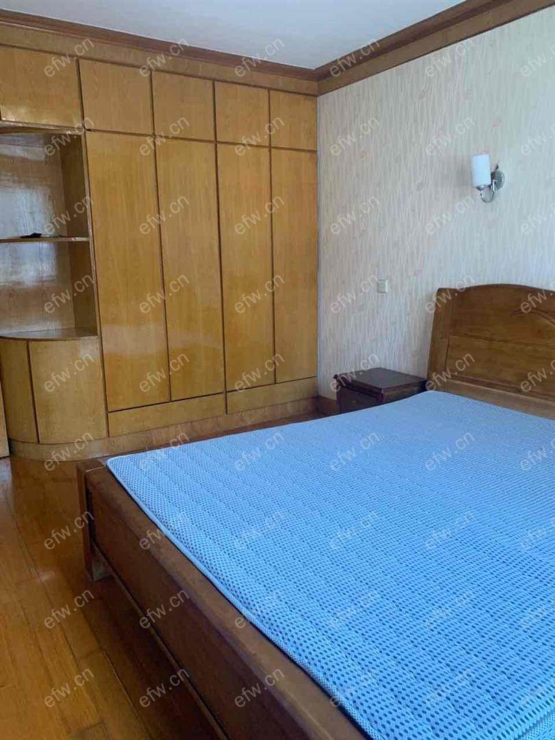 沁园新村 1室1厅   精装修