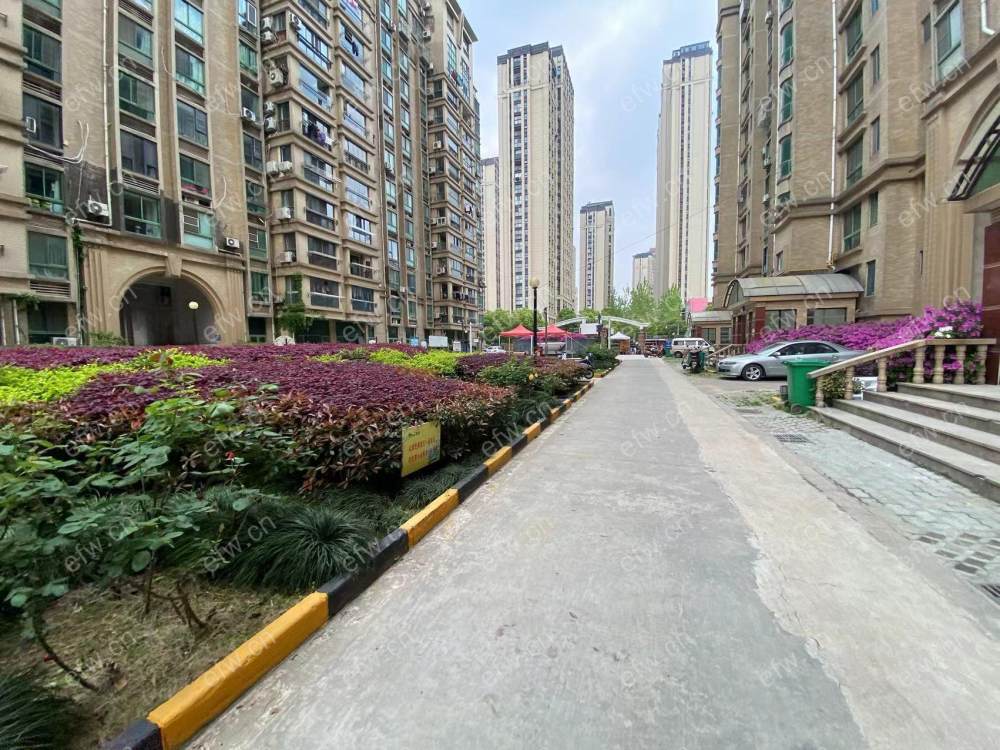 太阳花园(梁清苑) 6房 全明户型 另送家电