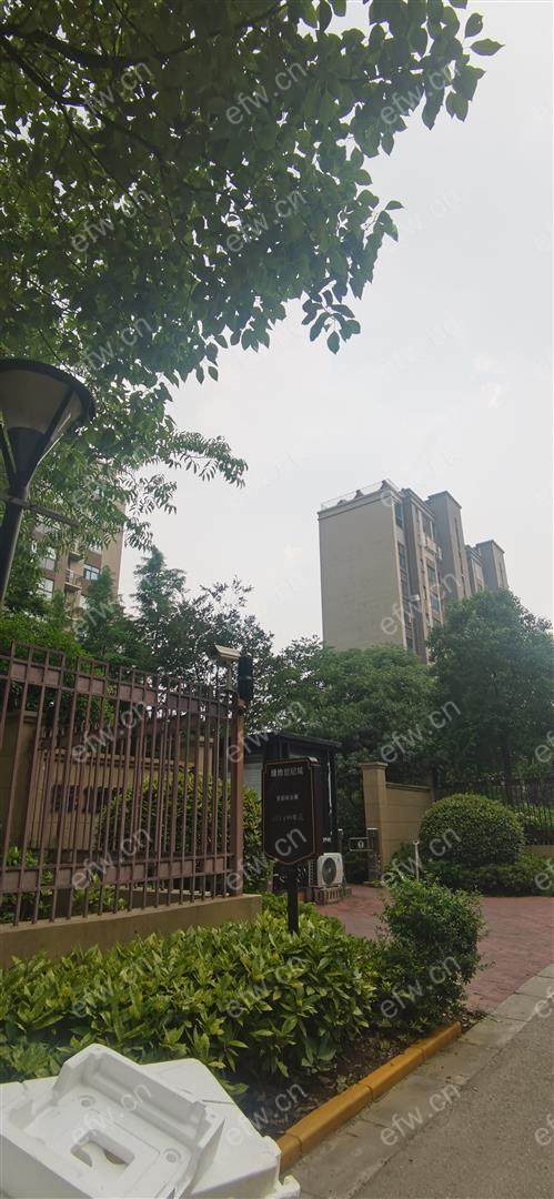 绿地世纪城五期(173-199) 经典2房 东边户 全明 精装修！