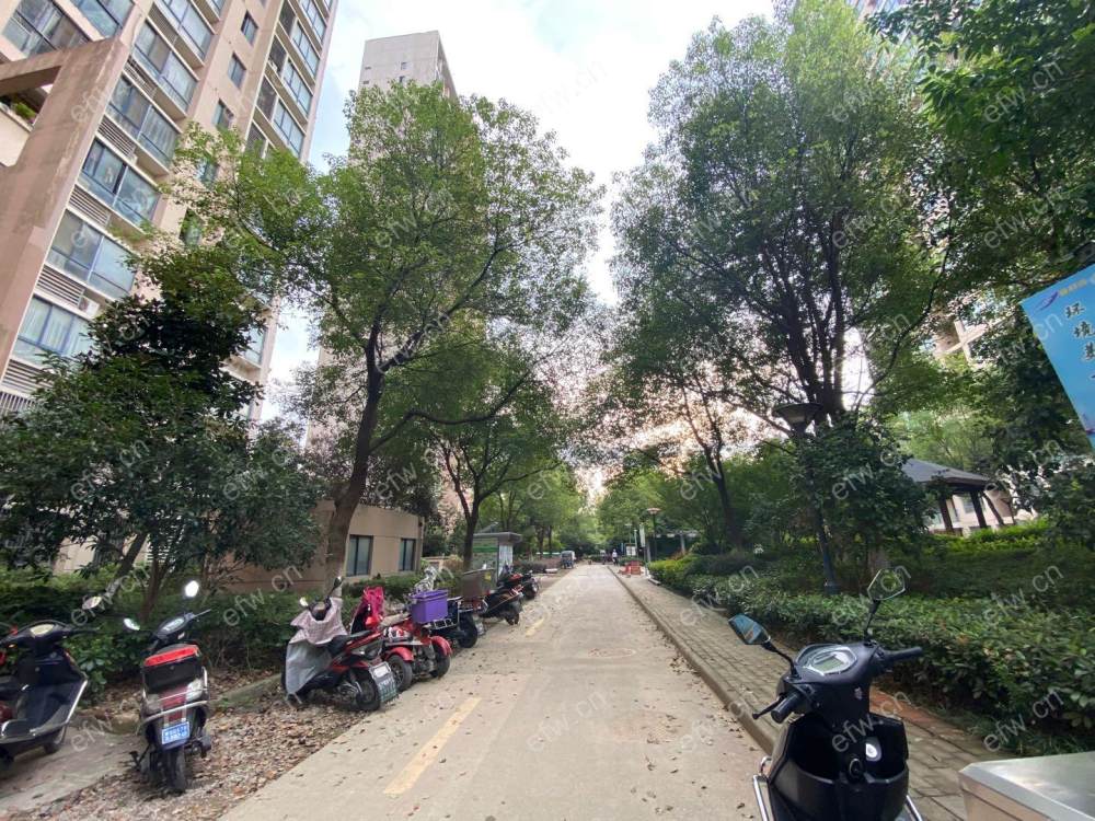 业主急售 尚锦城B区  双阳台 纯毛坯大3房 中间楼层！