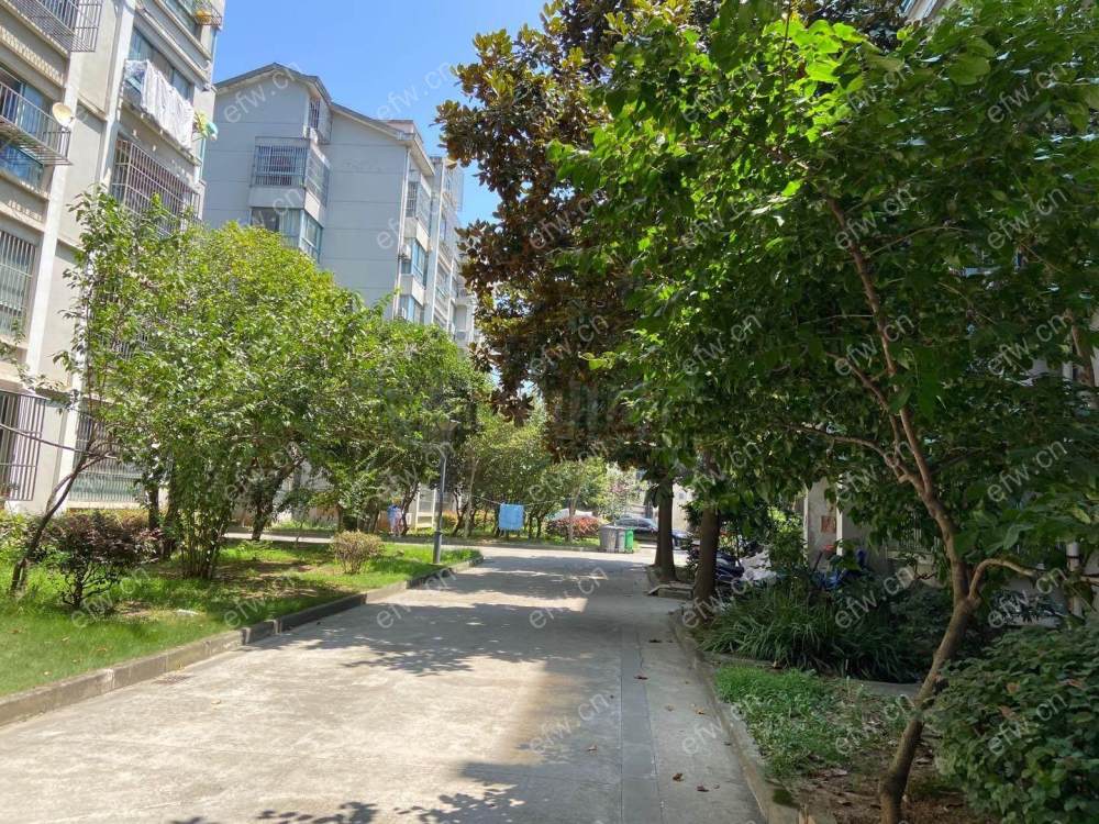 滨湖·鑫茂苑 6室2厅 地铁房