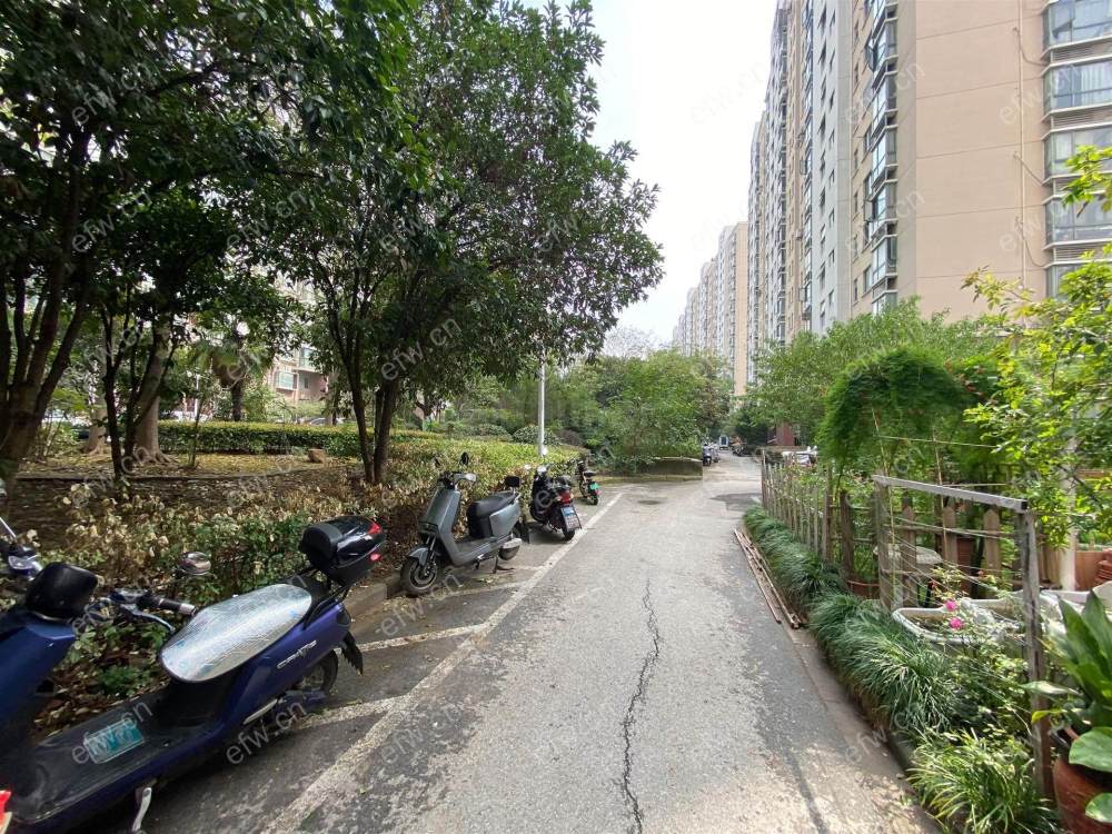 大丁佳苑    2室1厅