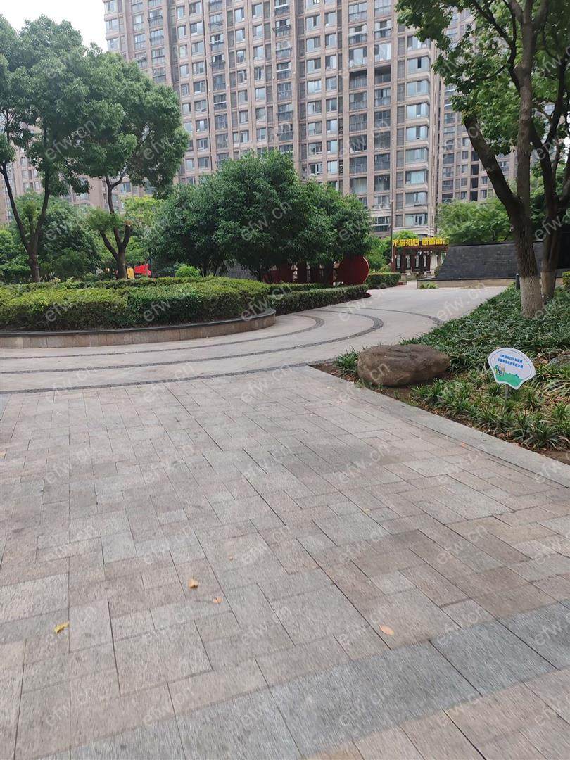 小天鹅品园 1室1厅