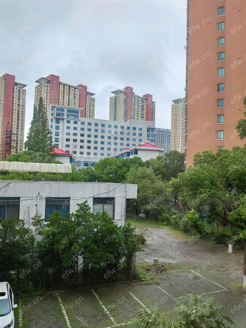 全新自住装修25万 从未入住  租好点的客户
