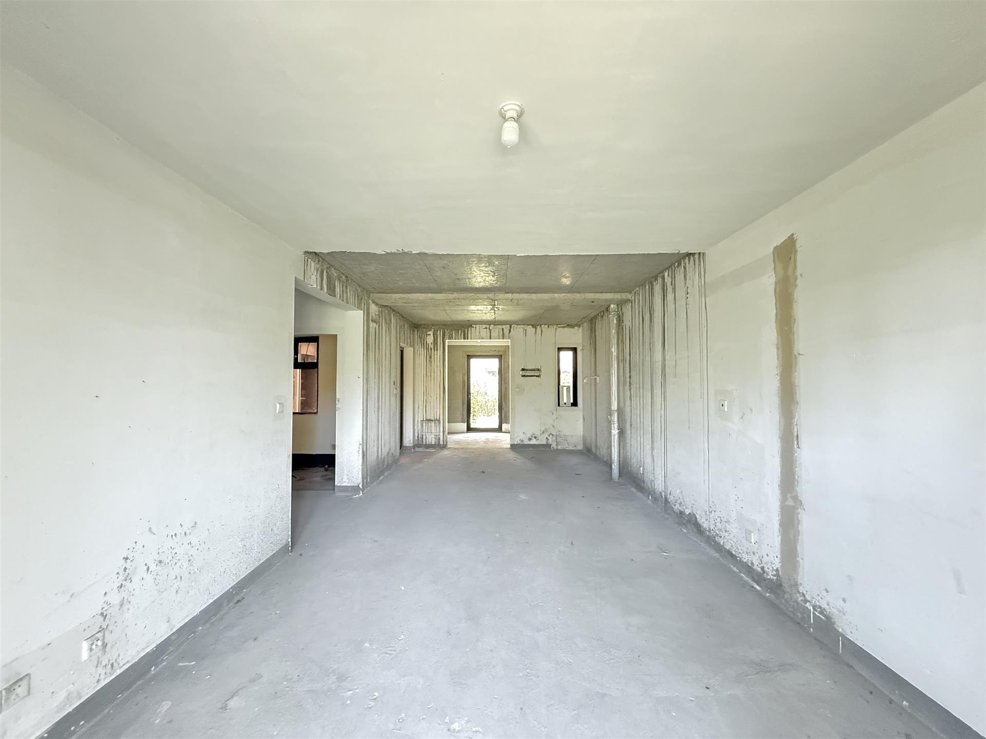 ű