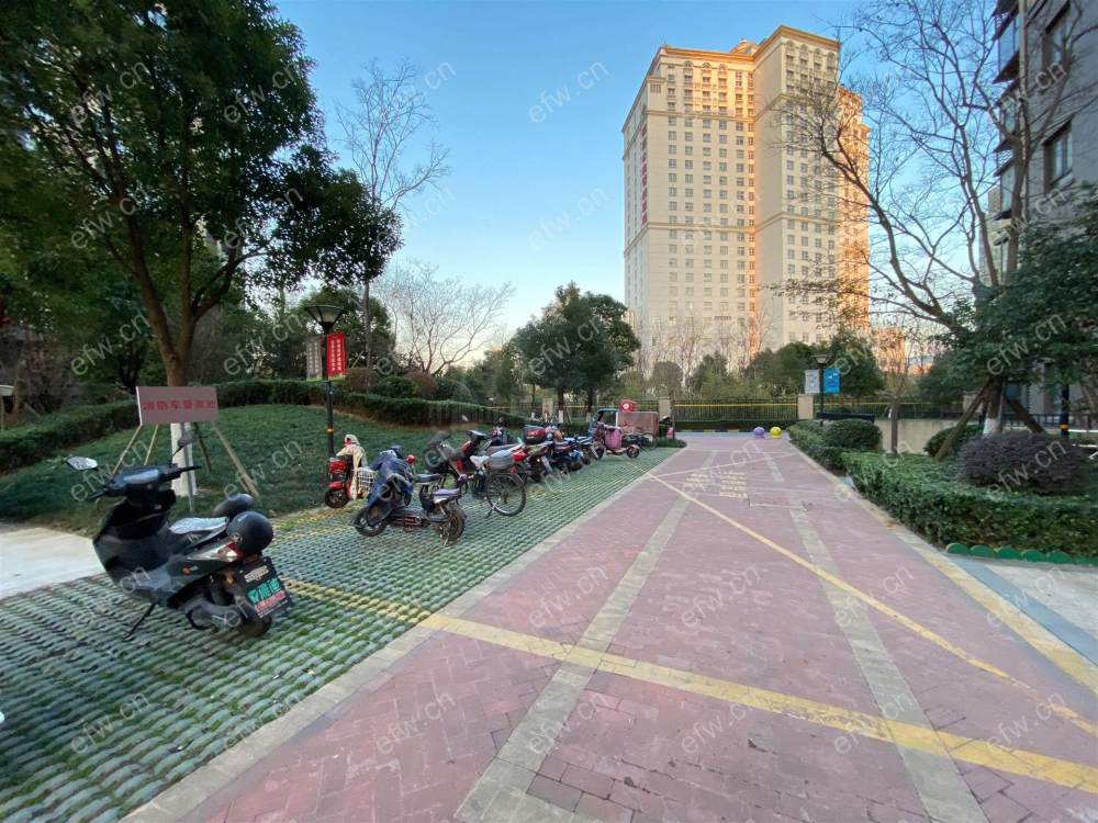 印象湖滨路劲 三室二厅 楼层好