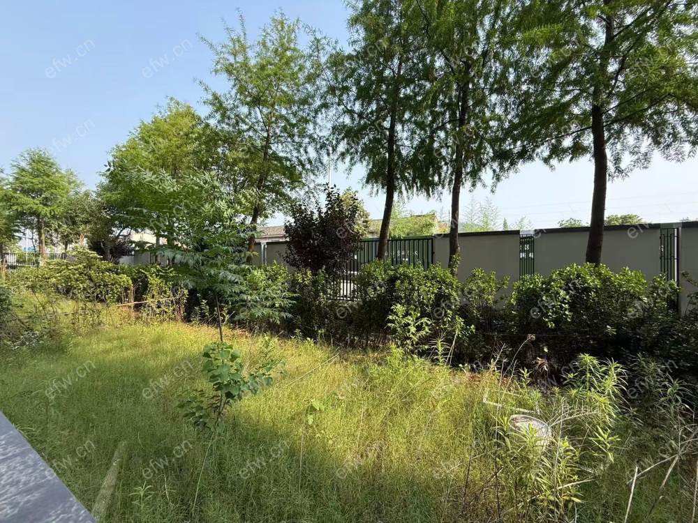 洋房一楼带大院子精装没住过人