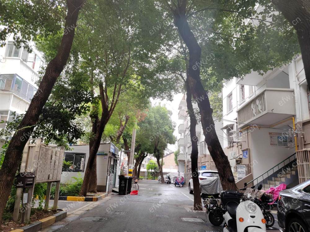 中南新村......