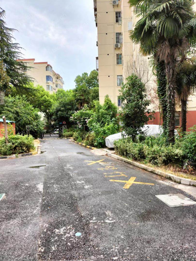 沁园新村 1室1厅1厨1卫