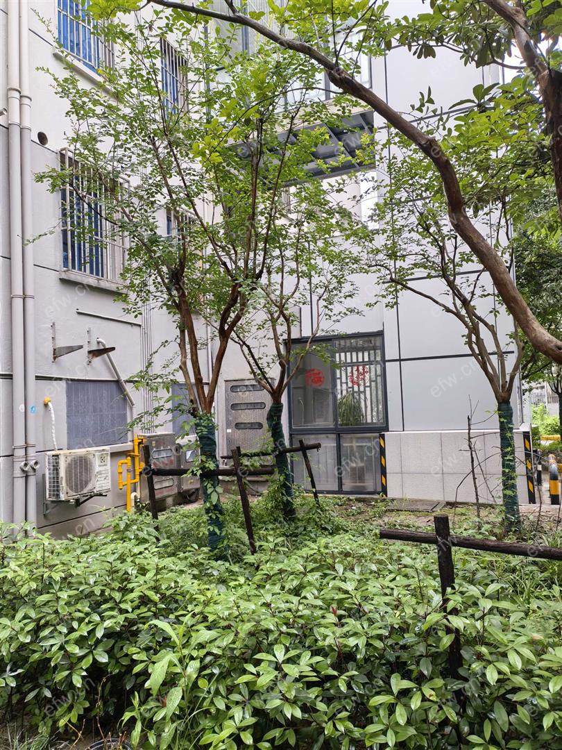 沁园新村 六中对面，全新精装修现改成一室一厅