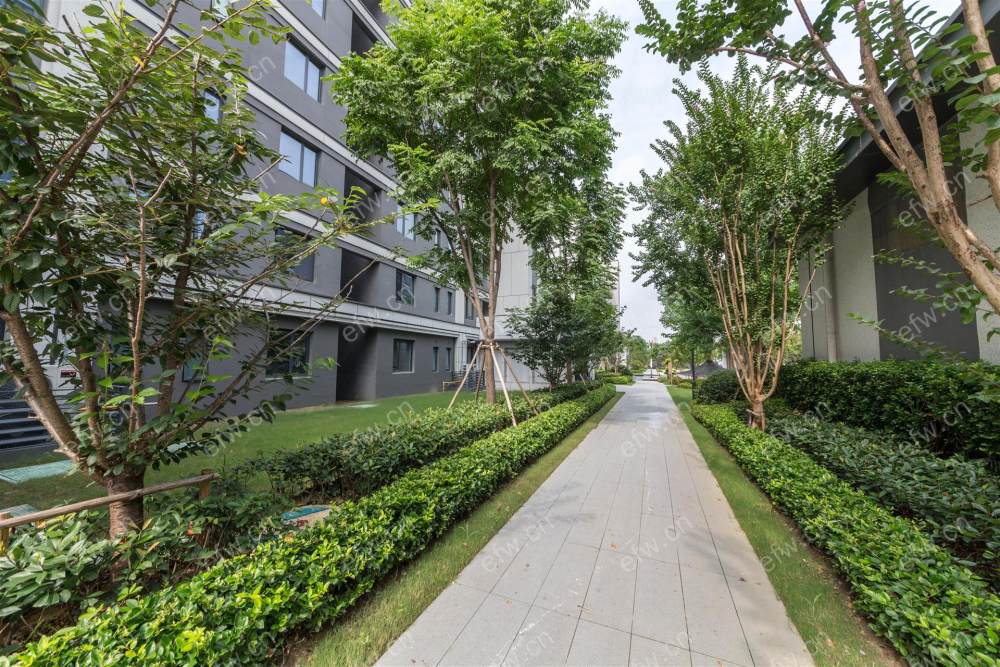 阳光城印月文澜，连元街分校精装