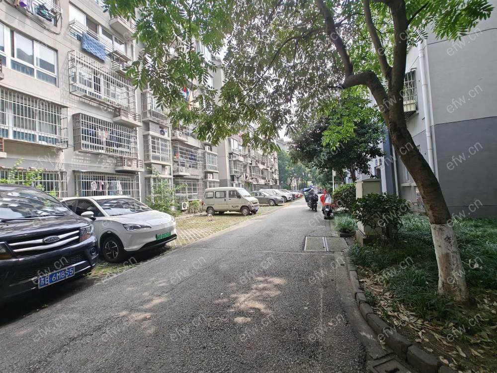 精装二卧室朝阳向阳苑 2室1厅