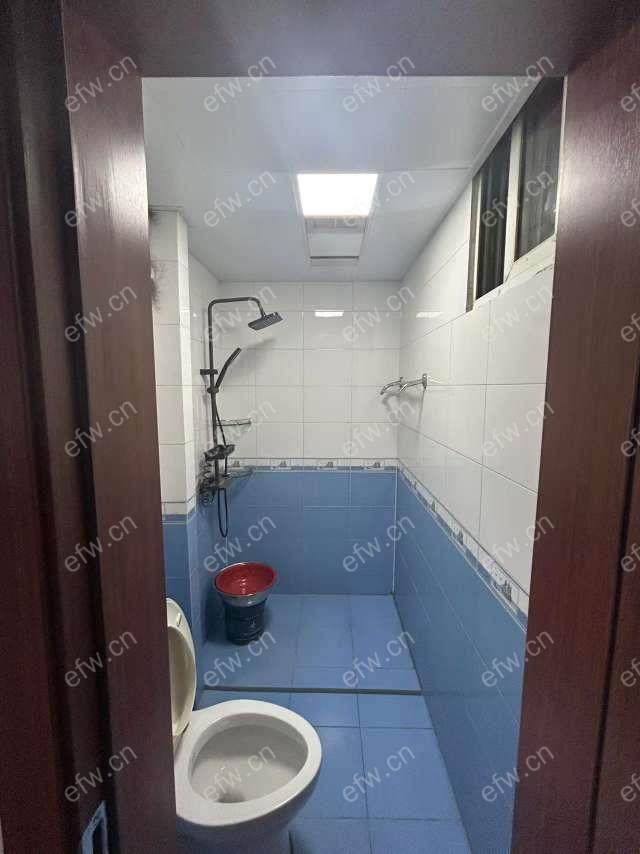 新装设齐，出租，养宠物者不考虑