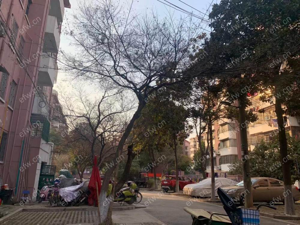 锡澄三村 2室1厅 简约两房