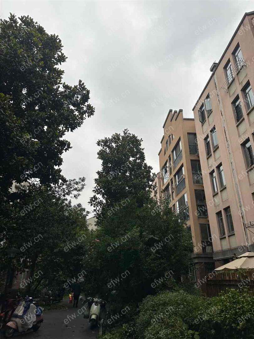 中大诺卡小镇一期（诺卡花园）精装2室  随时看房 拎包入住
