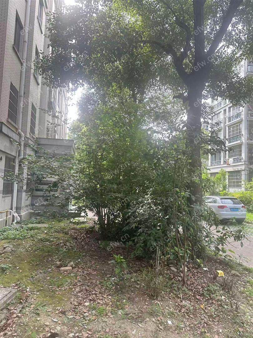 惠泉花园2室2厅，精装修