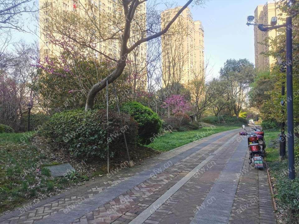 精装二房 中间楼层 随时看房