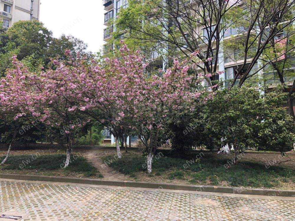 金匮苑 2室2厅