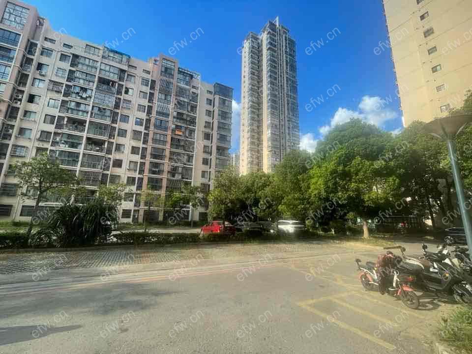 精装修 家电齐全 拎包入住