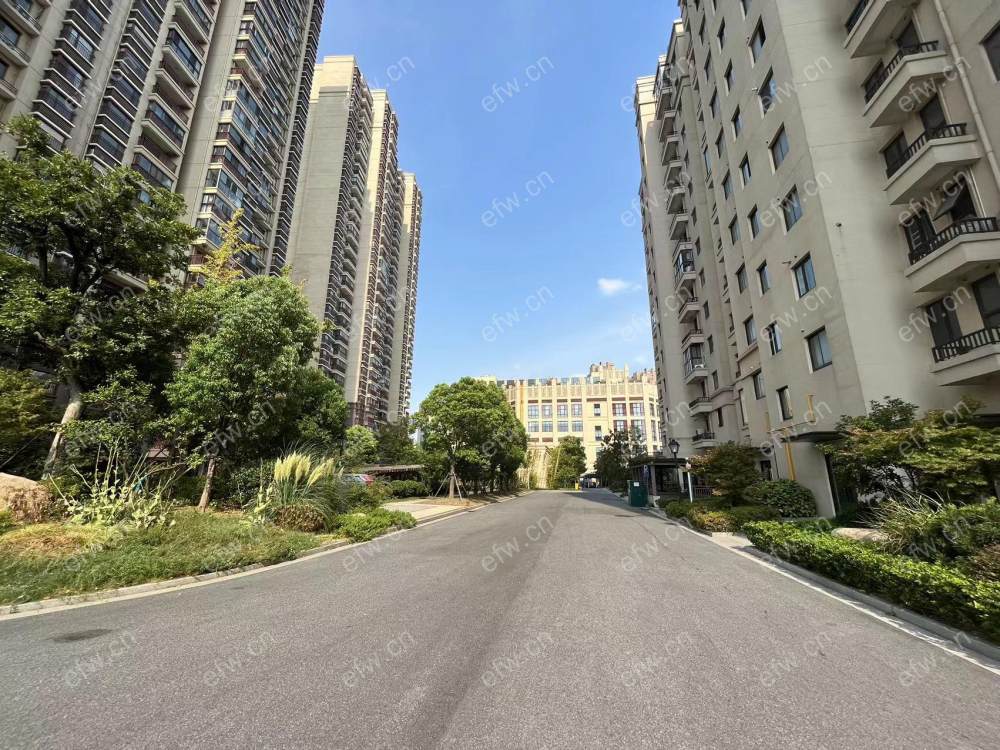 village 经典room房 东边户 全明 精装修！