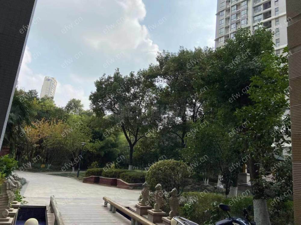湖滨一号 3房 全明户型 另送家电