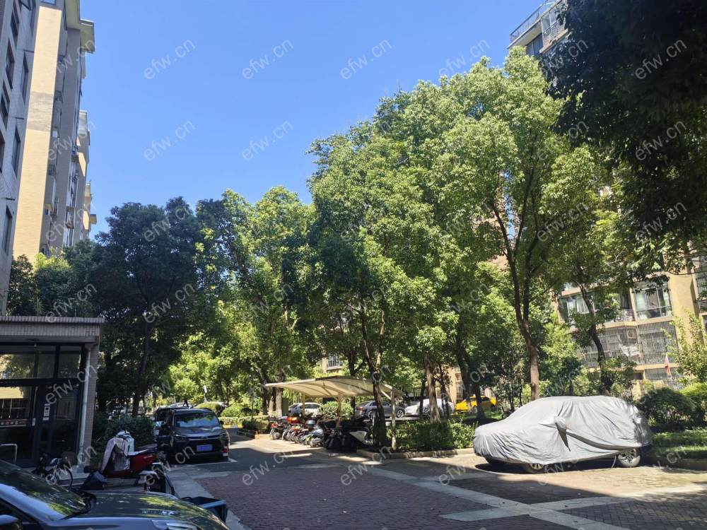 凤翔馨城 3室2厅。。。。。。