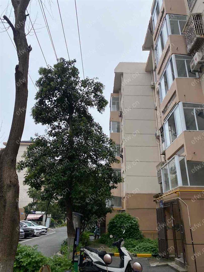 五河新村 1室1厅 简单装修