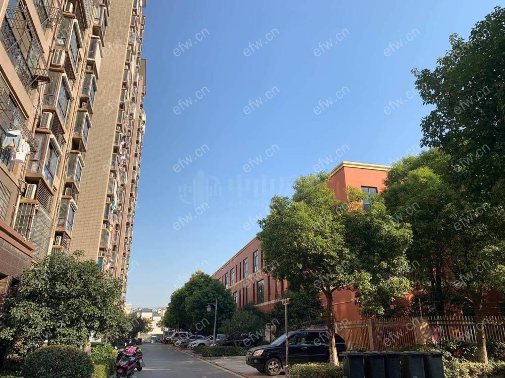 华夏泉绅后排精装修3房，天一可用