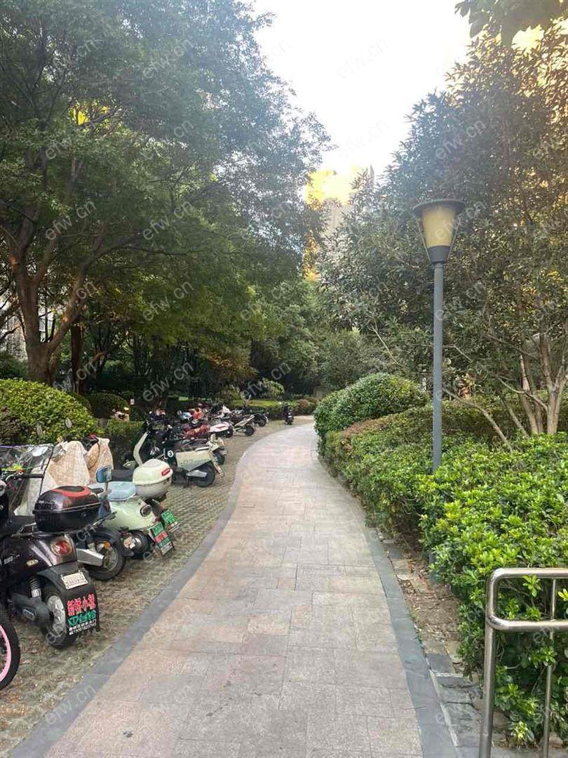 蔚蓝观邸精装3室  随时看房 拎包入住