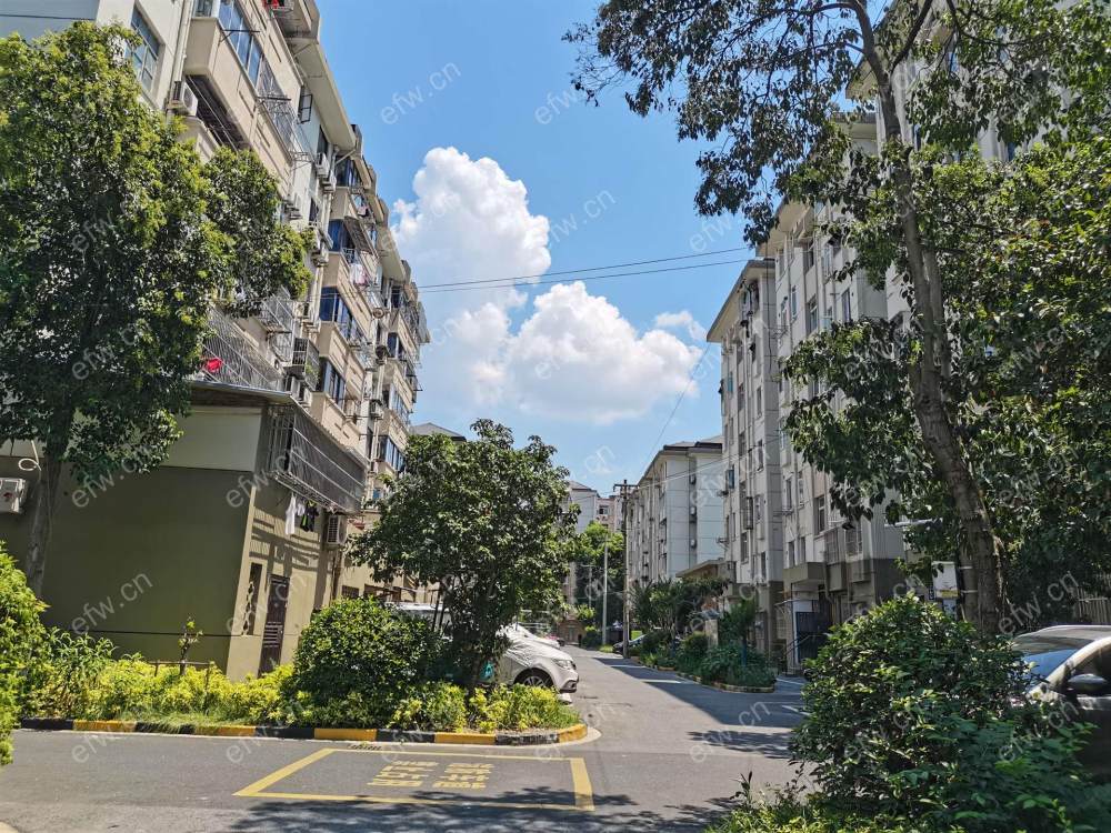五河新村 1室1厅