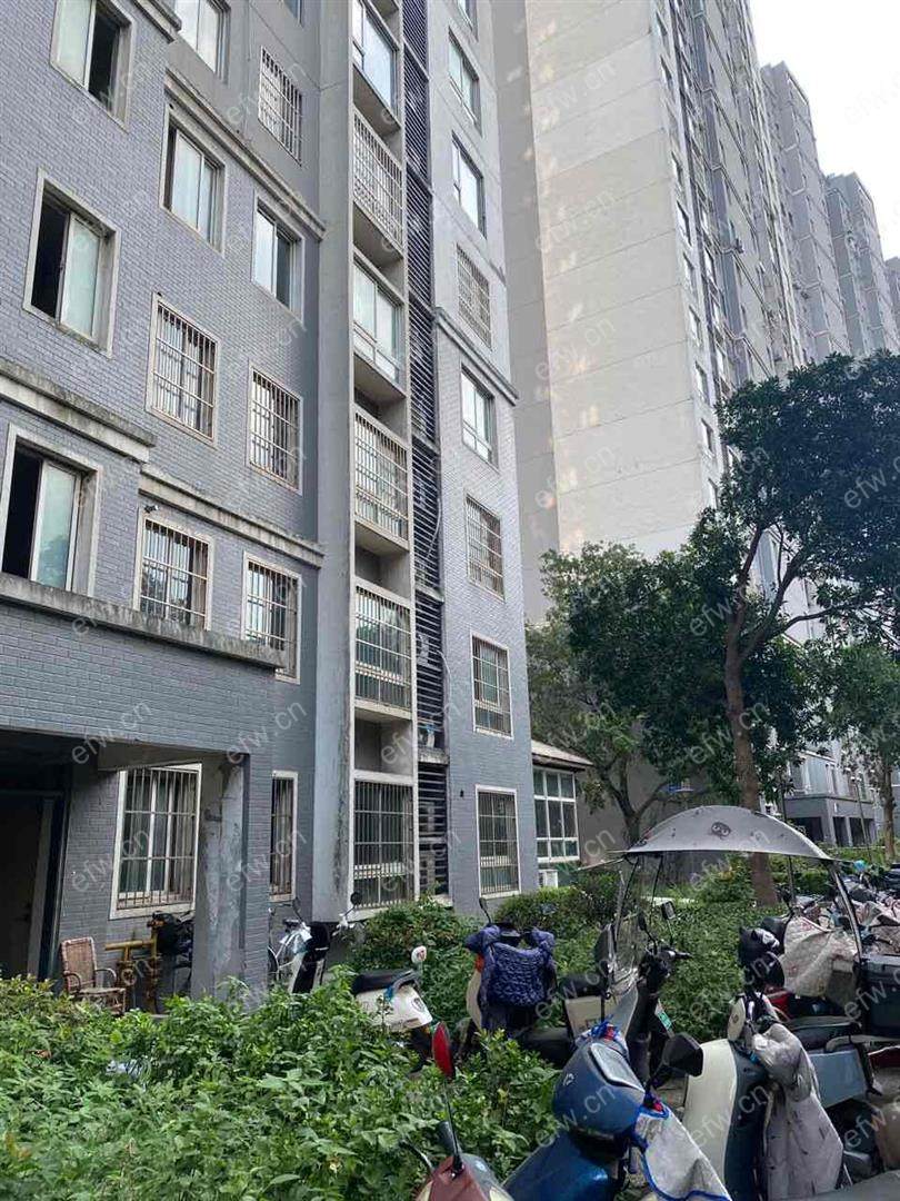 民丰苑精装两房 随时看房 价可商