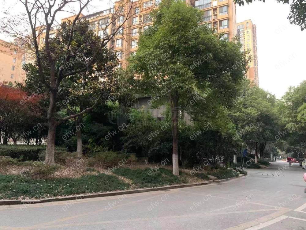 精装一期三房，河边，采光视野好
