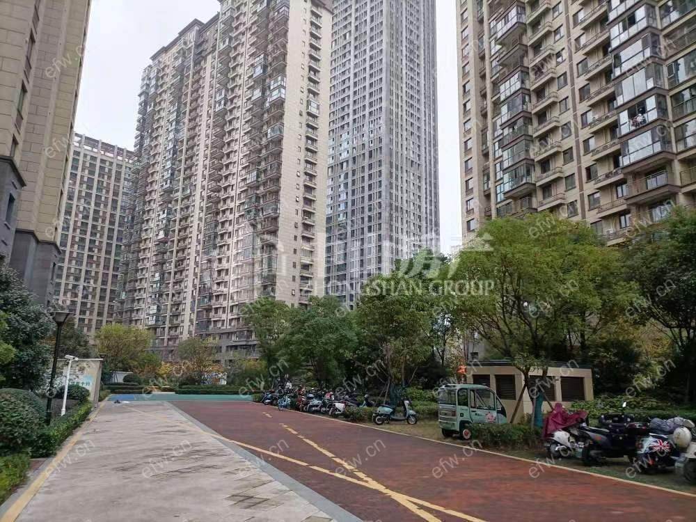 太平洋一期毛坯，楼层好，看房方便