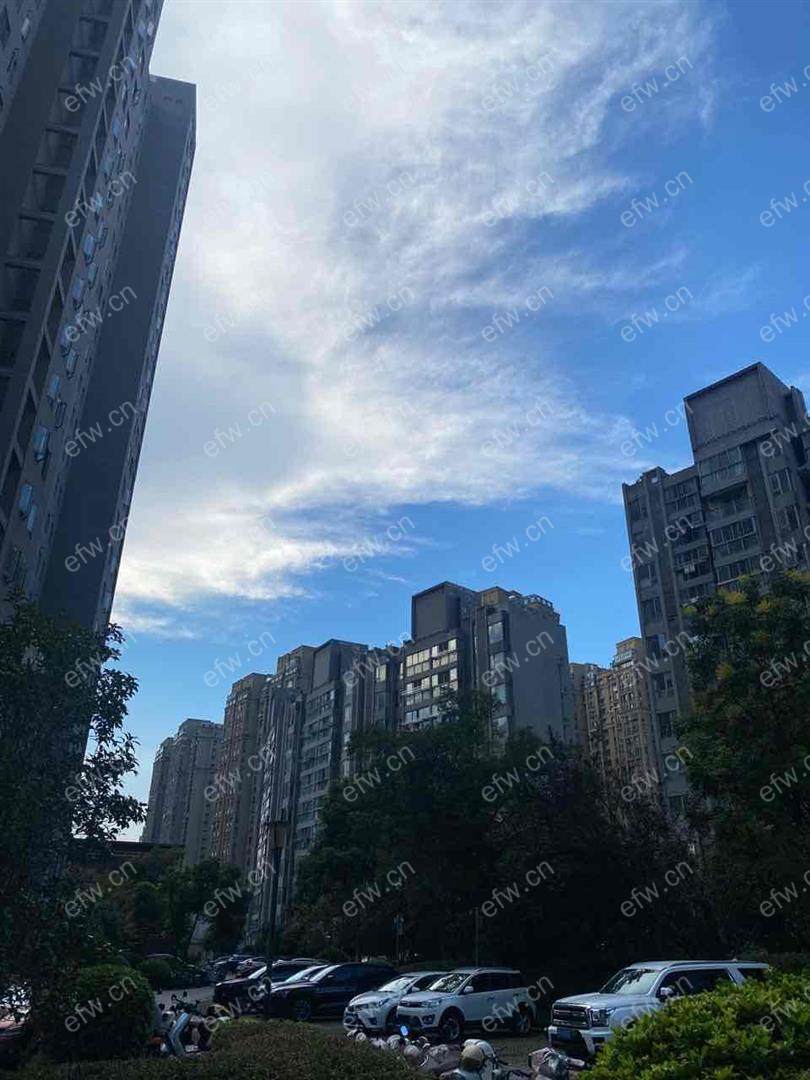 蔚蓝观邸（公寓） 1室1厅