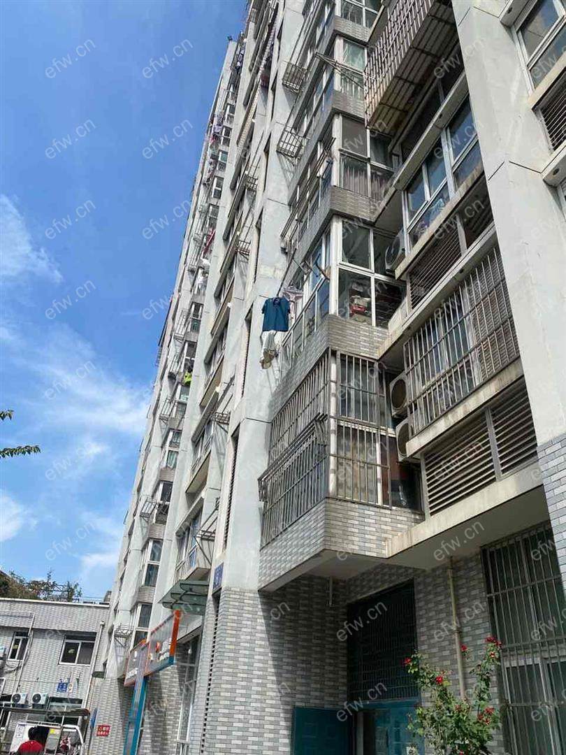 精装修  保养好  随时看房