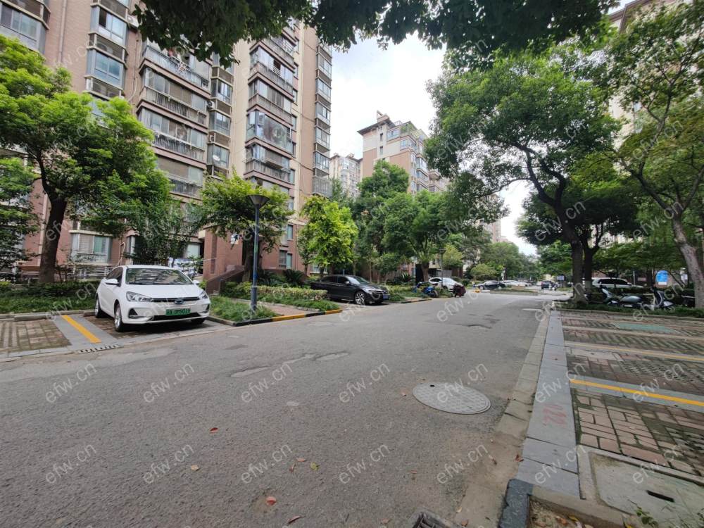 东鼎家园 3室1厅