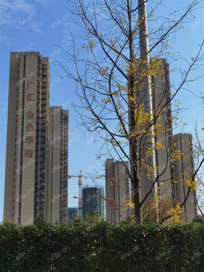 婚装全明户型房，格局工整合理，采光无遮挡