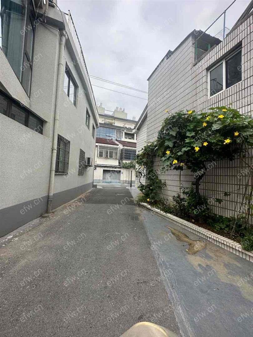 家电齐全 周堂里 采光好 绿化好