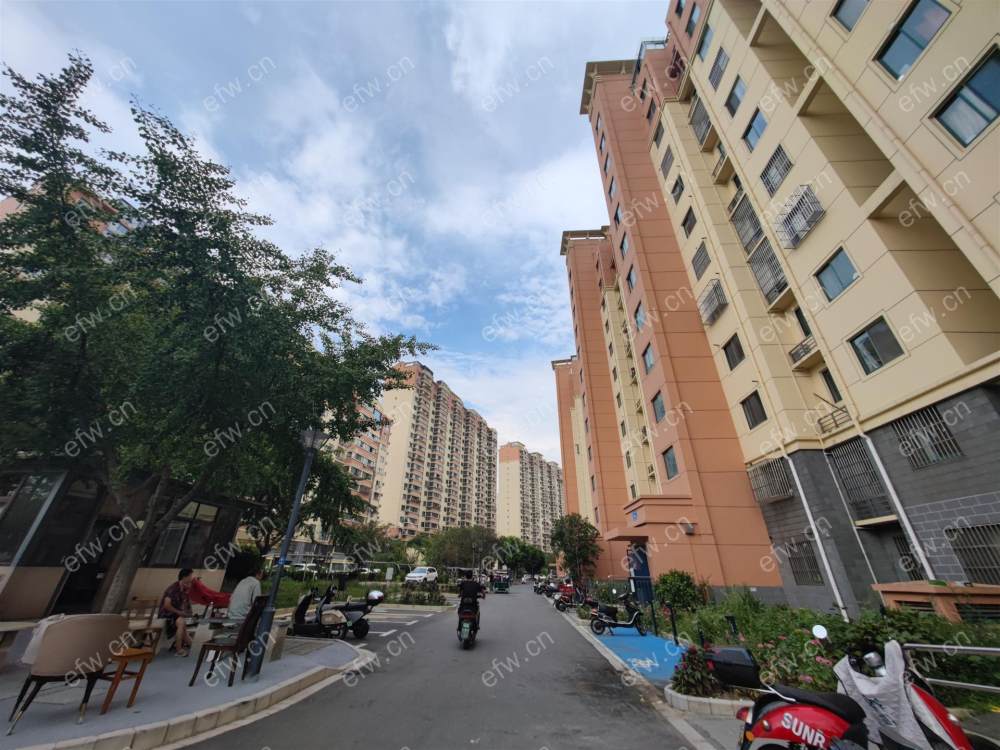 电梯大三房包土出