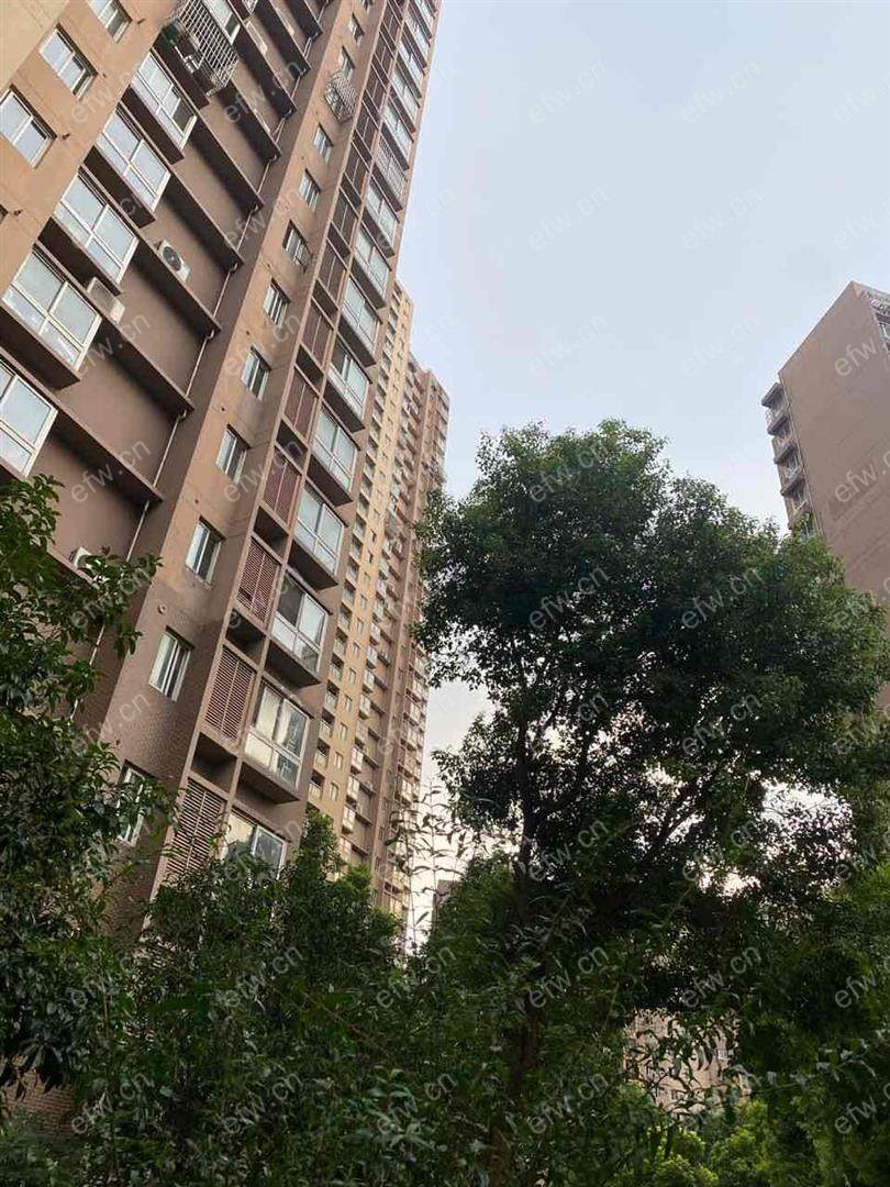 梨花家园精装2室  随时看房 拎包入住