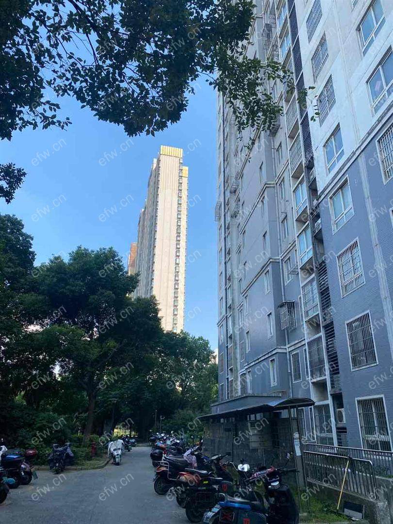 民丰苑 2室2厅V  整租