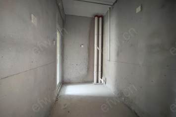 ʫ